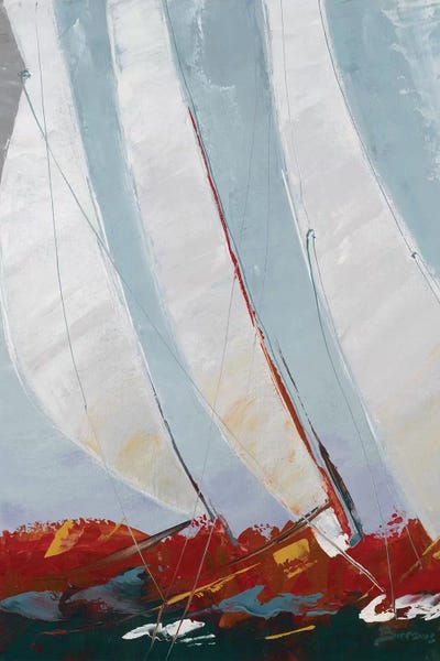 John Burrows: Racing the Wind by John Burrows
