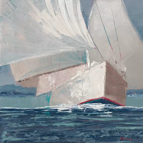 John Burrows: Run, Johnny, Run by John Burrows