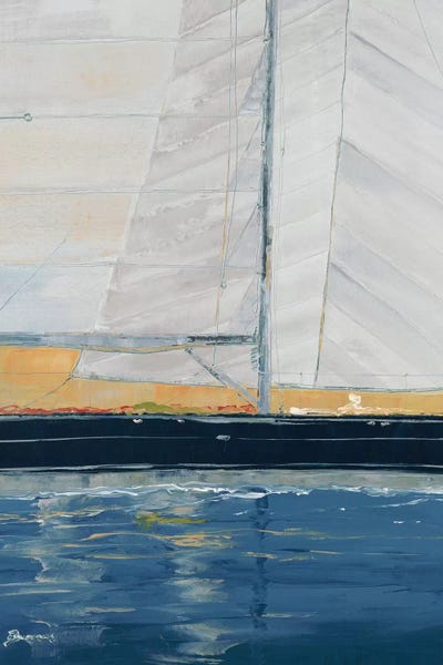 Stealth by John Burrows canvas print