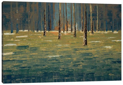 Forest Twilight Canvas Art Print