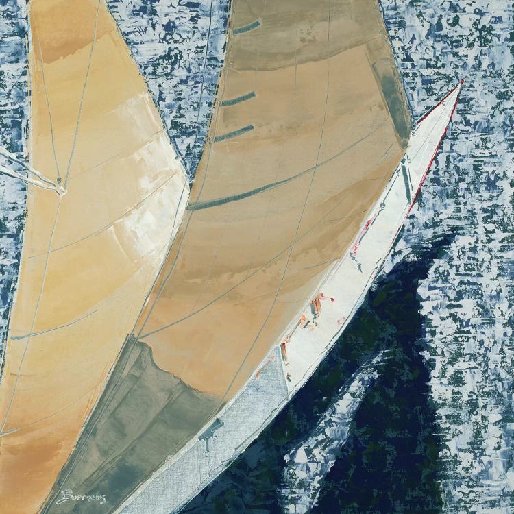 Aerial by John Burrows wall art