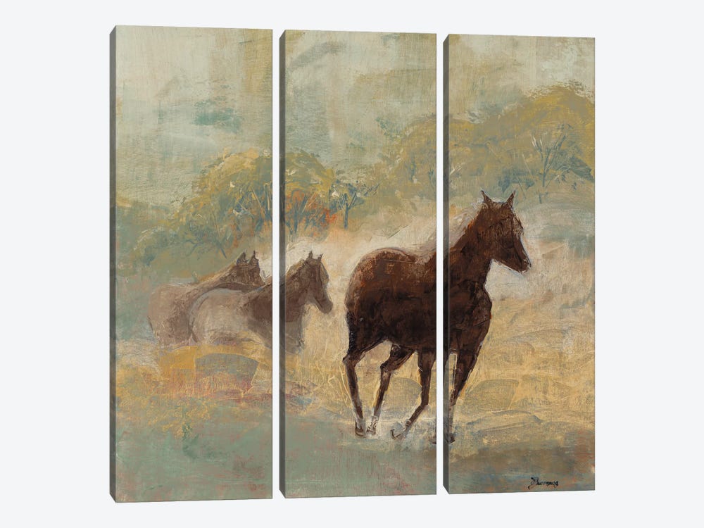 Like The Wind by John Burrows 3-piece Canvas Art