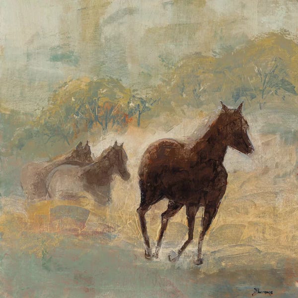 John Burrows: Like The Wind by John Burrows