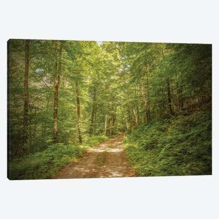 Forest Road Canvas Print #BRY6} by Brooke T. Ryan Canvas Print