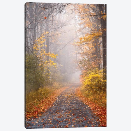 Road and Autumn Mist Canvas Print #BRY8} by Brooke T. Ryan Canvas Artwork