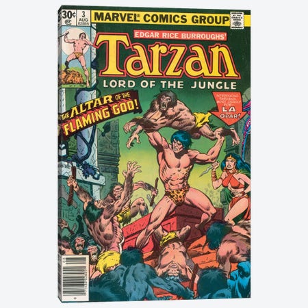 Tarzan Comic Cover #3 Canvas Print #BSC3} by Jon Buscema Canvas Art