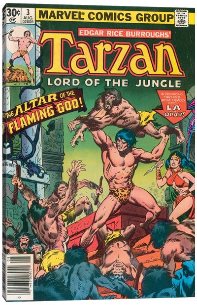 Tarzan® Comic Cover #3 Canvas Art Print - Tarzan