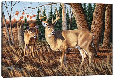 Two Deer Canvas Art Print