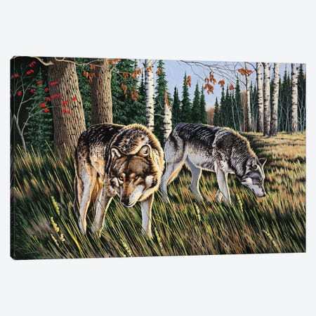 Wolves Canvas Print #BSD16} by Bob Schmidt Canvas Art