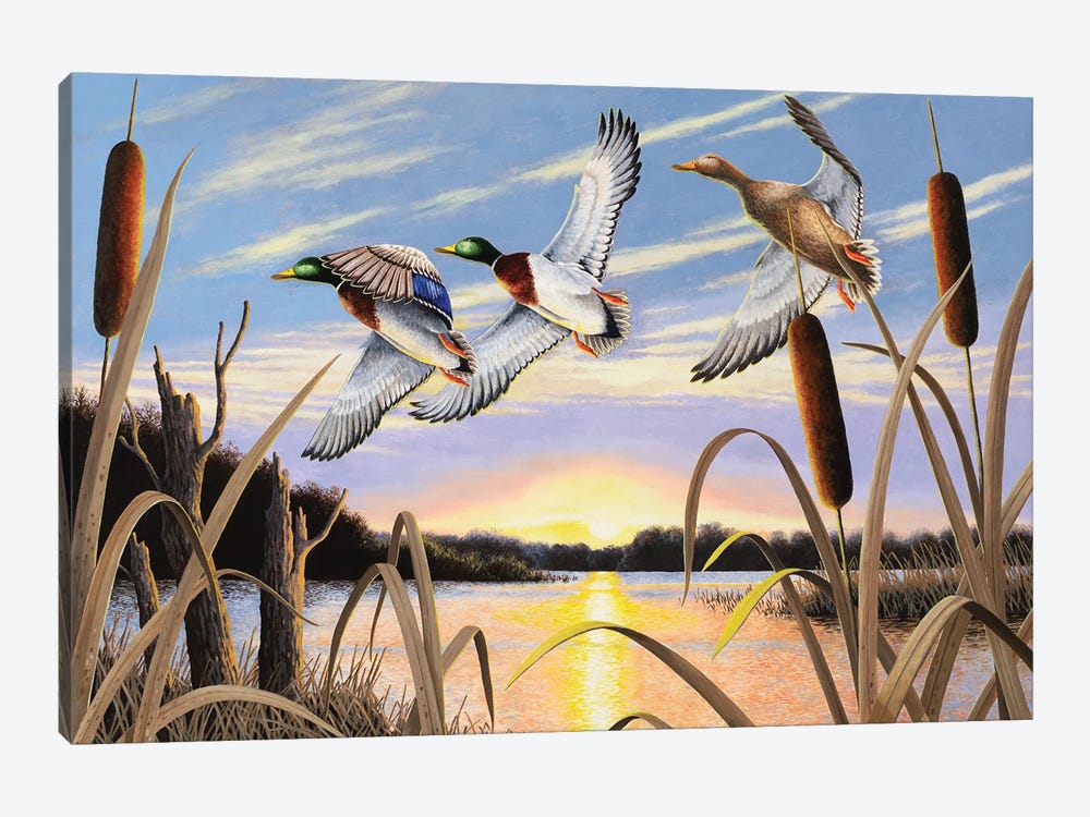 Ducks by Bob Schmidt 1-piece Canvas Wall Art