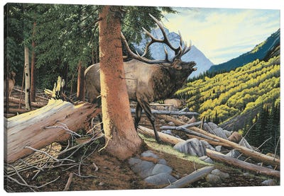 Elk In Forest Canvas Art Print