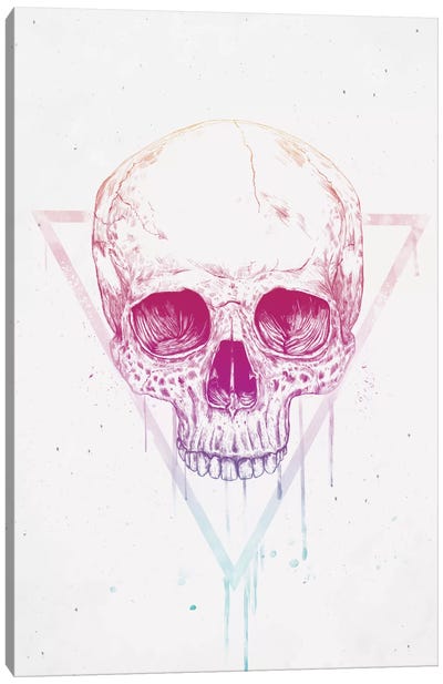 Skull In Triangle Canvas Art Print - Balazs Solti
