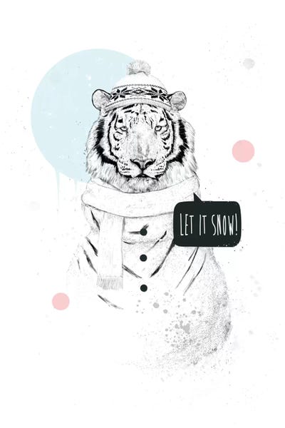 Black & White Drawings & Illustrations: Snow Tiger by Balazs Solti
