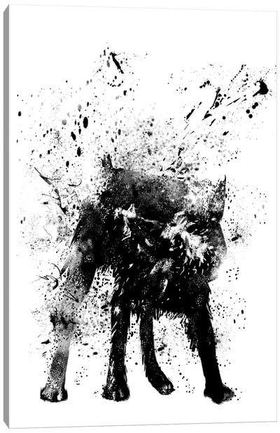 Wet Dog Canvas Art Print - Balazs Solti