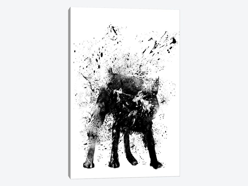 Wet Dog by Balazs Solti 1-piece Canvas Print