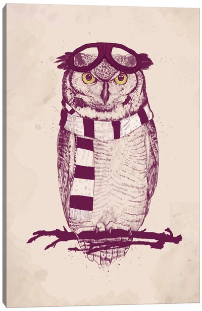 The Aviator Canvas Art Print - Owl Art