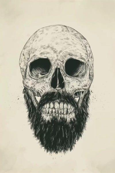 Skulls: The Beard Is Not Dead by Balazs Solti