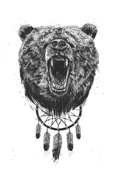 Dreamcatchers: Don't Wake The Bear by Balazs Solti