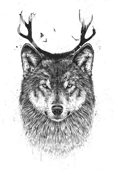 Wolves: I'm Your Deer by Balazs Solti