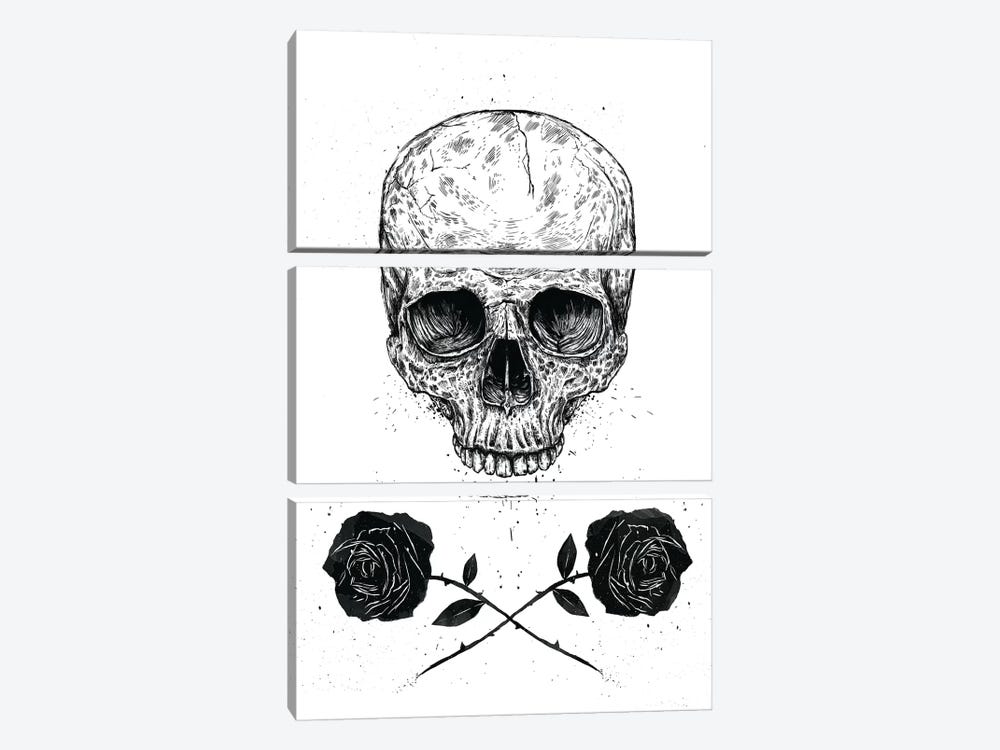 Skull 'n' Roses by Balazs Solti 3-piece Art Print