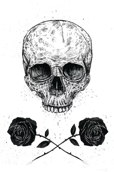 Black & White Drawings & Illustrations: Skull 'n' Roses by Balazs Solti