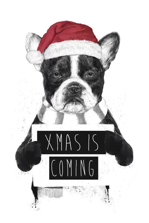 Xmas Is Coming by Balazs Solti wall art