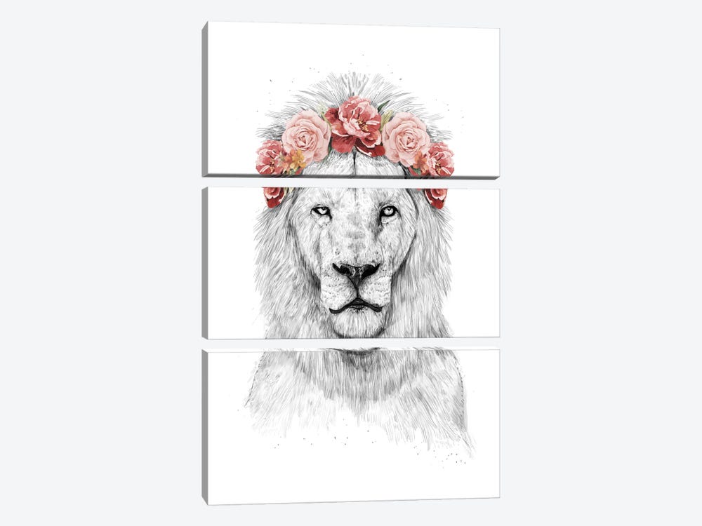 Festival Lion by Balazs Solti 3-piece Art Print