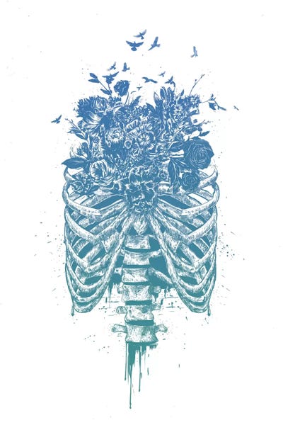 Skeletons: New Life by Balazs Solti