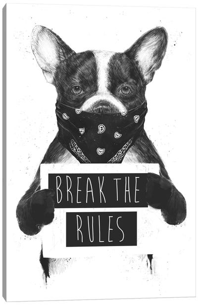 Rebel Dog Canvas Art Print - Funky Fun