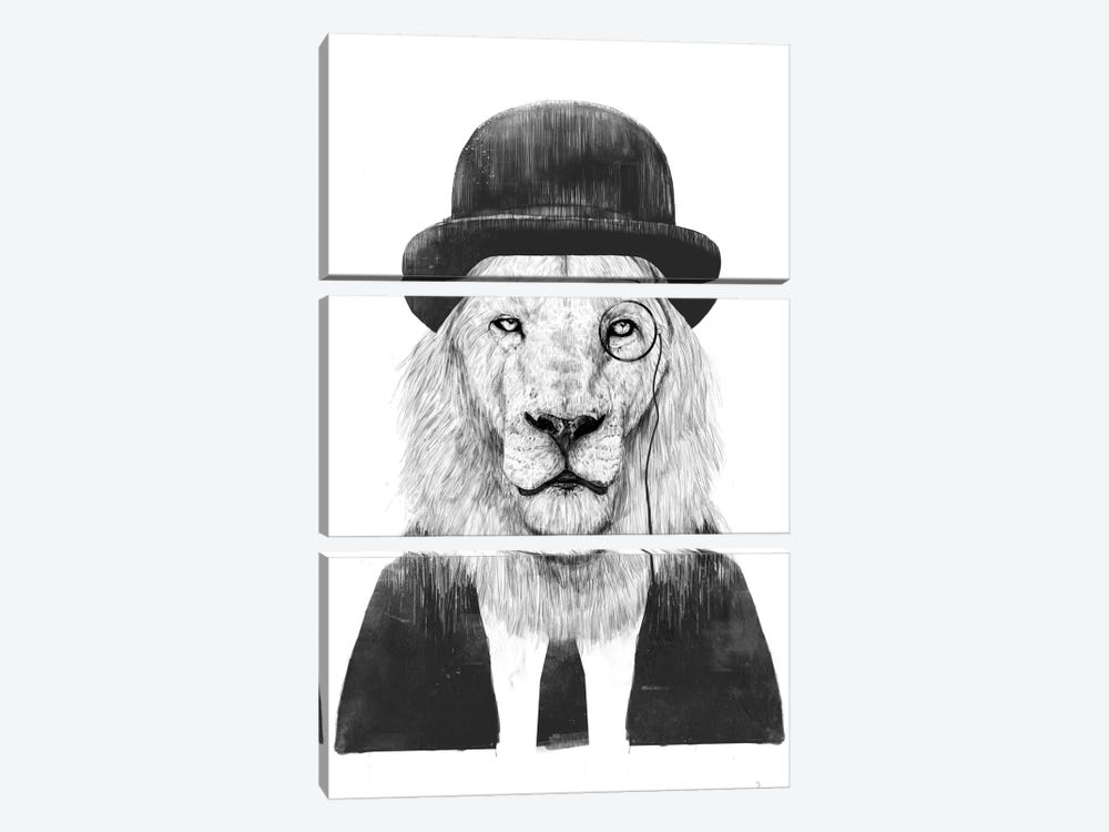 Sir Lion by Balazs Solti 3-piece Canvas Artwork