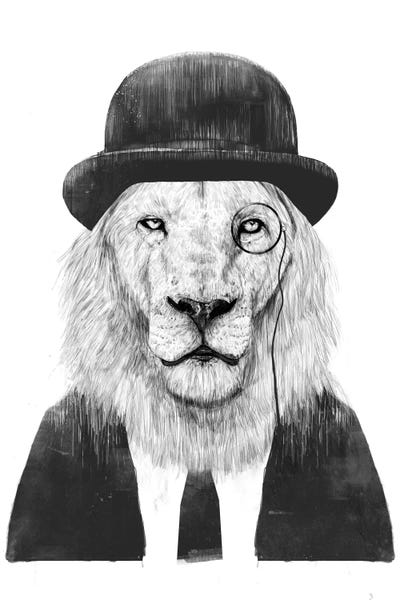 Lions: Sir Lion by Balazs Solti