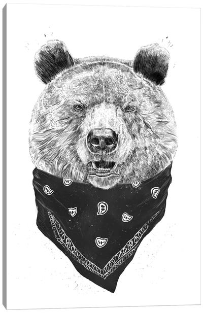 Wild Bear Canvas Art Print - Balazs Solti