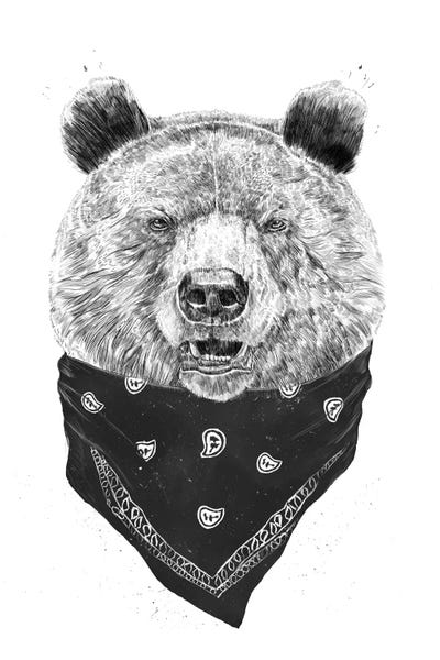 Bears: Wild Bear Black & White by Balazs Solti