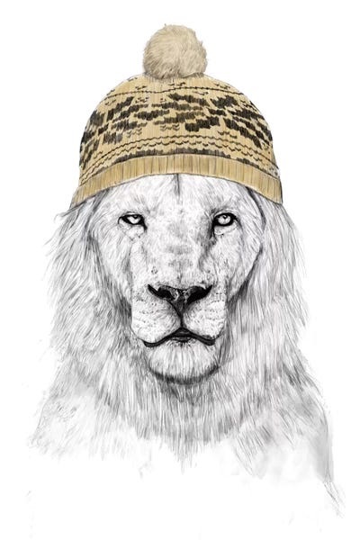 Lions: Winter Is Here by Balazs Solti