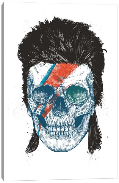 Eye Of The Singer Canvas Art Print - David Bowie