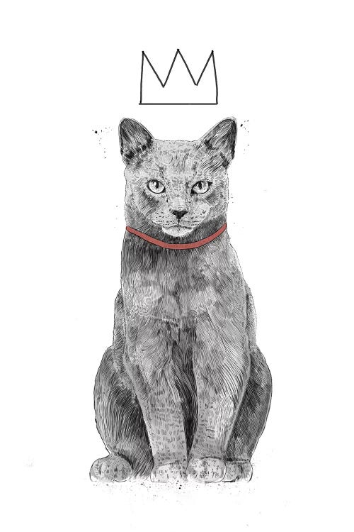 King Of Everything by Balazs Solti wall art