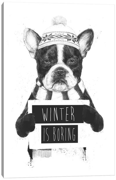 Winter Is Boring Canvas Art Print - Hip Holiday