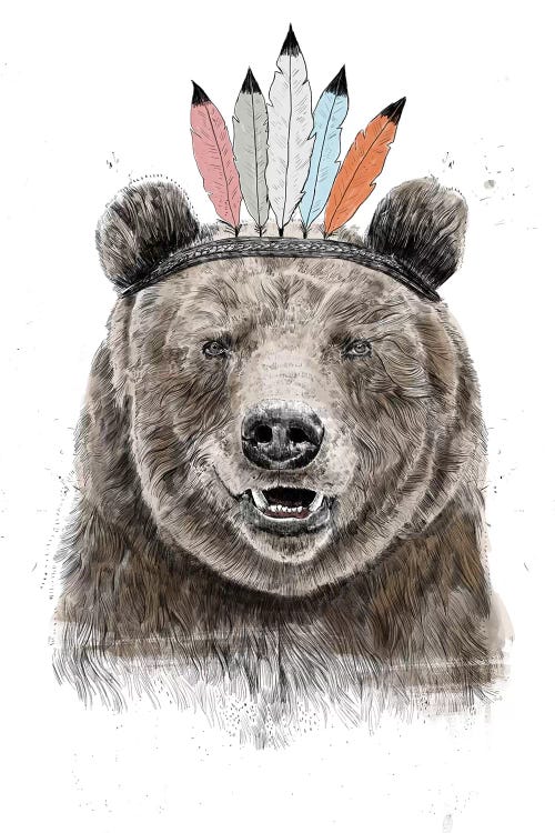 Festival Bear by Balazs Solti wall art