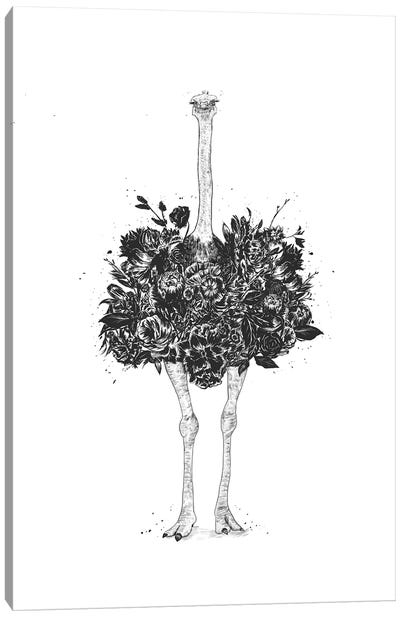 Floral Ostrich Canvas Art Print - White Art