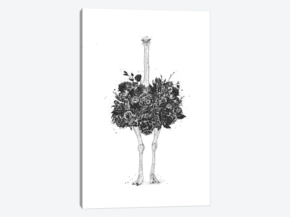 Floral Ostrich by Balazs Solti 1-piece Canvas Art Print