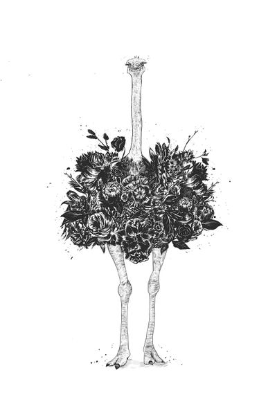 Black & White Florals: Floral Ostrich by Balazs Solti