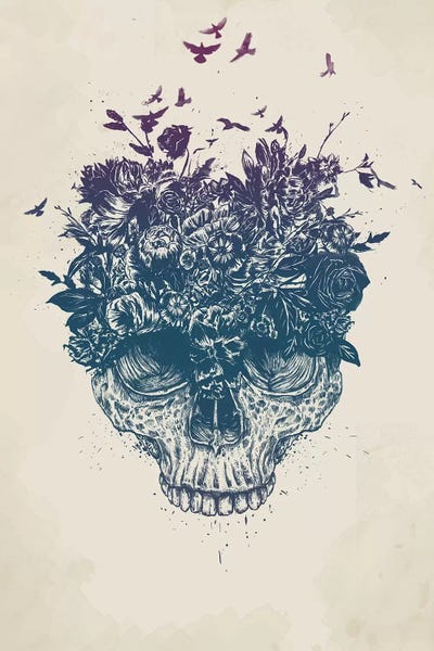 Balazs Solti: My Head Is A Jungle by Balazs Solti