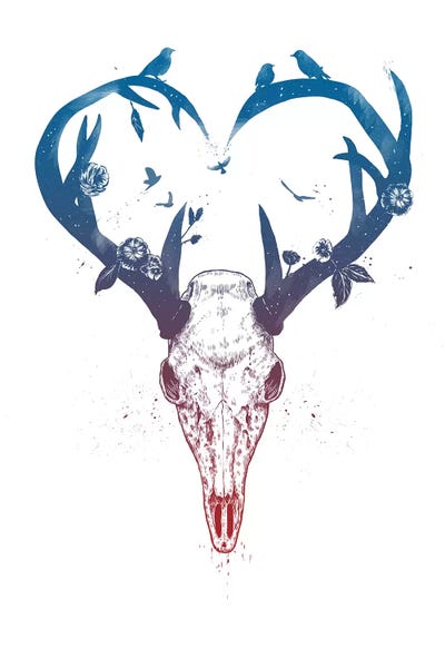 Bison & Buffaloes: Neverending Love by Balazs Solti