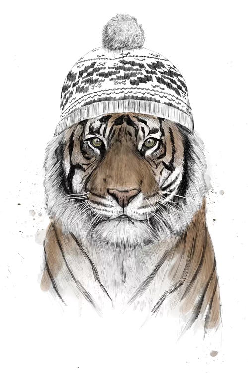 Siberian Tiger by Balazs Solti wall art