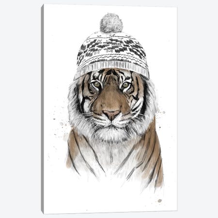 Siberian Tiger Canvas Print #BSI181} by Balazs Solti Art Print