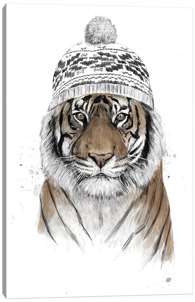 Siberian Tiger Canvas Art Print - Balazs Solti