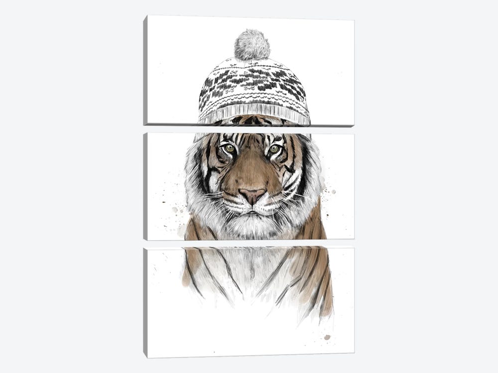 Siberian Tiger by Balazs Solti 3-piece Canvas Wall Art