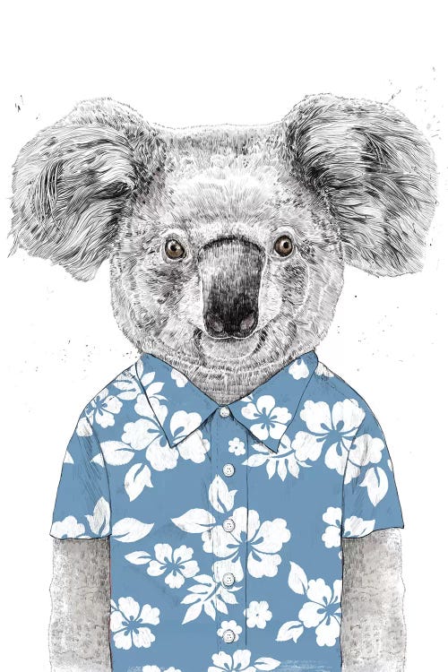 Summer Koala Blue by Balazs Solti wall art