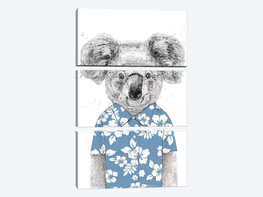 Summer Koala Blue by Balazs Solti 3-piece Canvas Print