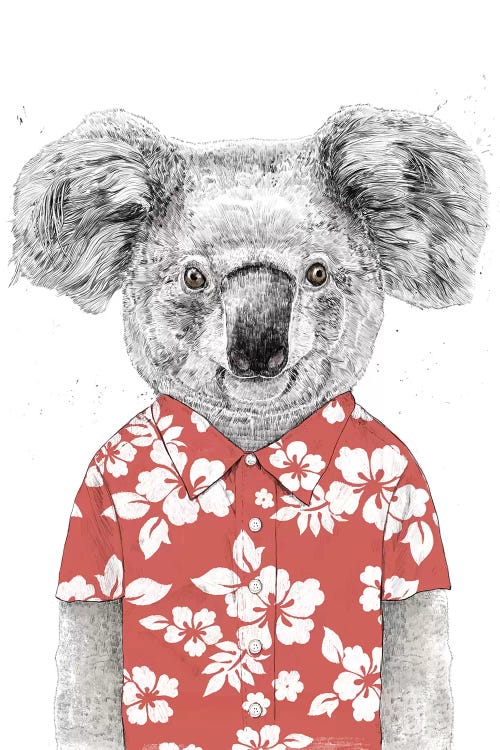 Summer Koala Red by Balazs Solti wall art